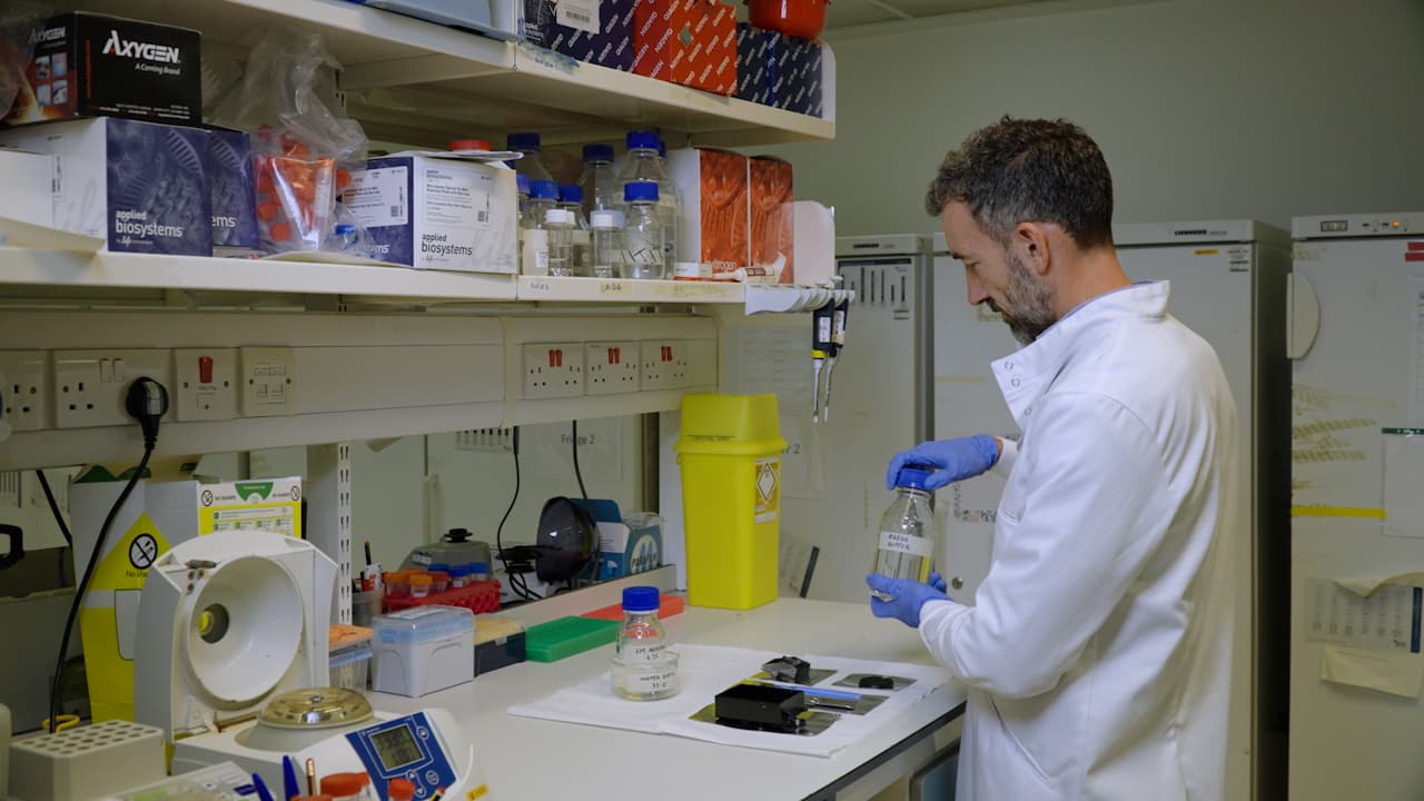 Optimized and Simplified Technique for the Production and Culture of Precision-Cut Liver Slices