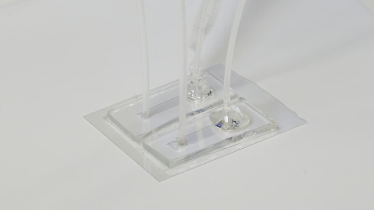 Single-Molecule Real-Time Visualization of DNA Unwinding by CMG Helicase