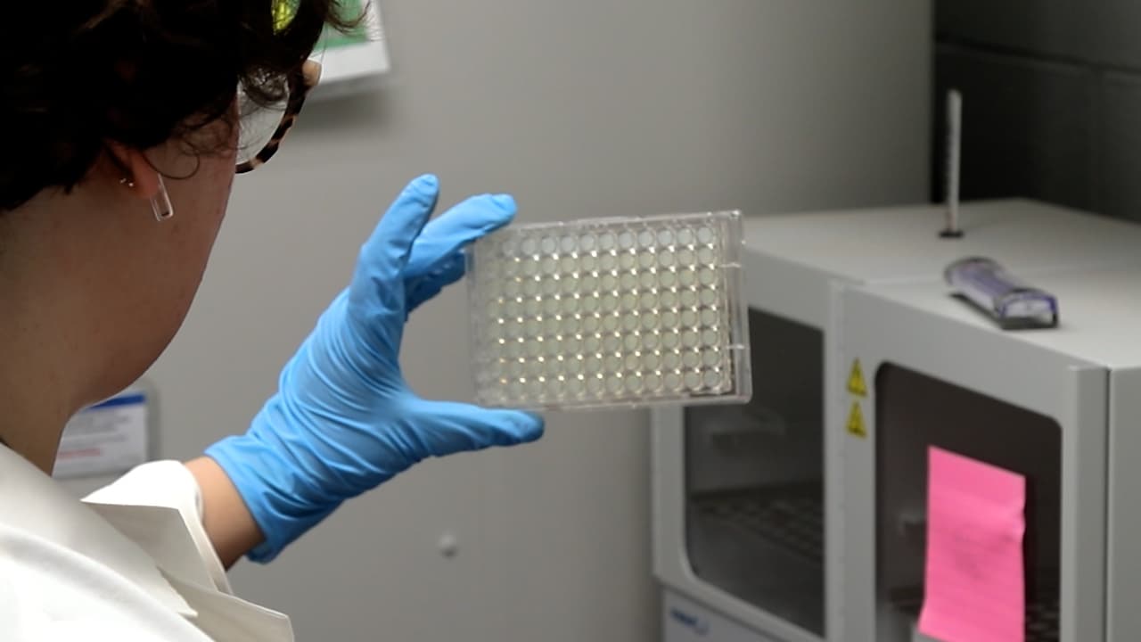 Isolation of Soil Microorganisms Using iChip Technology