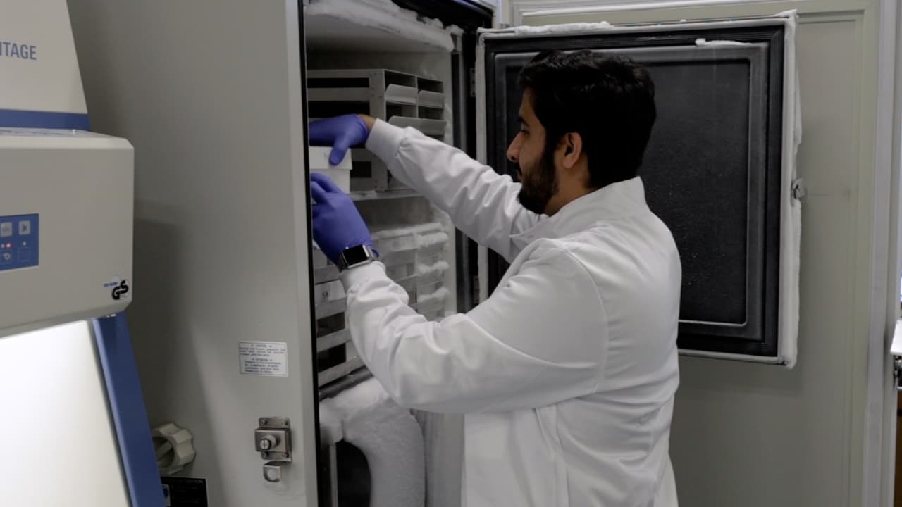 Organotypic Tissue Model Systems for Investigating Host-Pathogen Interactions <em>In Vitro</em>