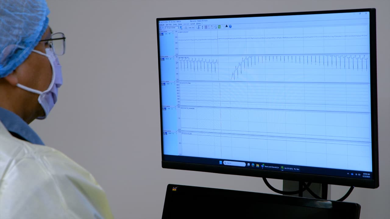 Implantation of Electroencephalogram and Electrocardiogram Telemetry Devices in Neonatal Rabbit Kits