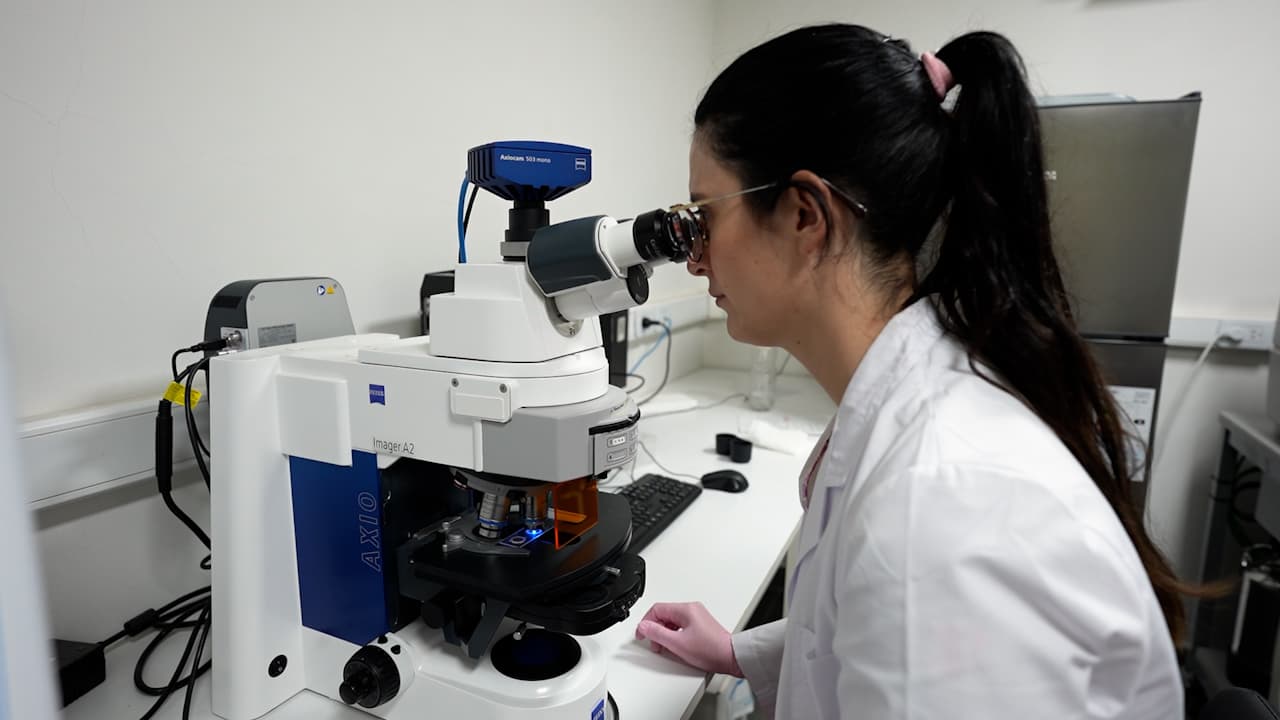 Fluorescence Assays for the Study of <em>Mycobacterium tuberculosis</em> Interaction with the Immune Receptor SLAMF1