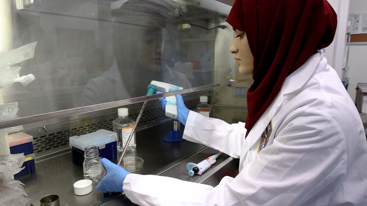 Efficient Retroviral Transduction and Competitive Homing for Investigating GPCR-Mediated T-Cell Localization in Diverse Tissue Microenvironments