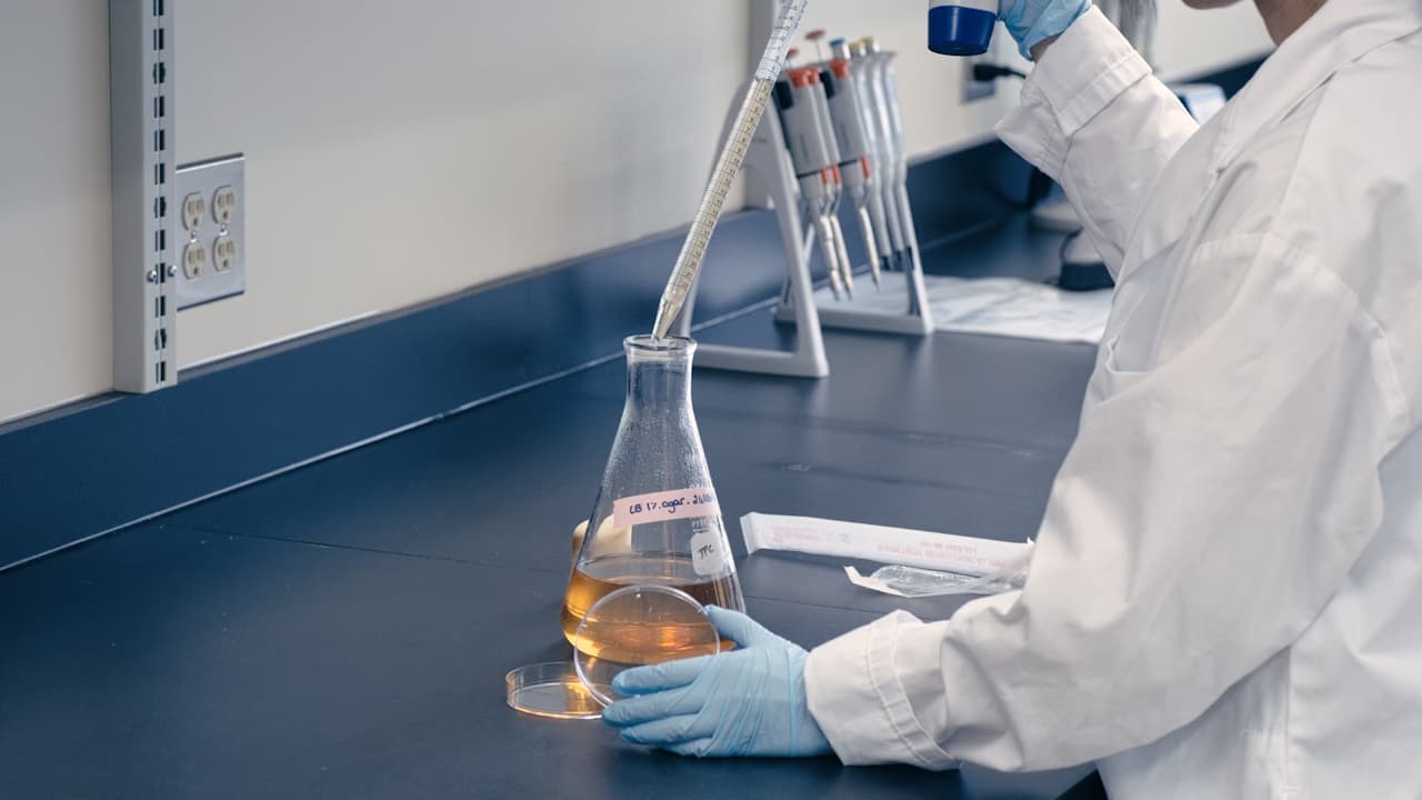 High-throughput Method for Observing Motility Phenotypes in Pseudomonas aeruginosa