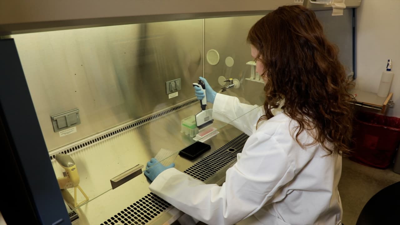 MEDUSA for Identifying Death Regulatory Genes in Chemo-genetic Profiling Data