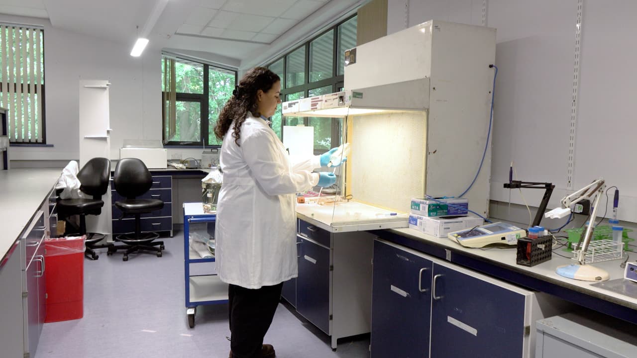 An <em>In Vitro</em> Bladder Model of Catheter-Associated Urinary Tract Infection