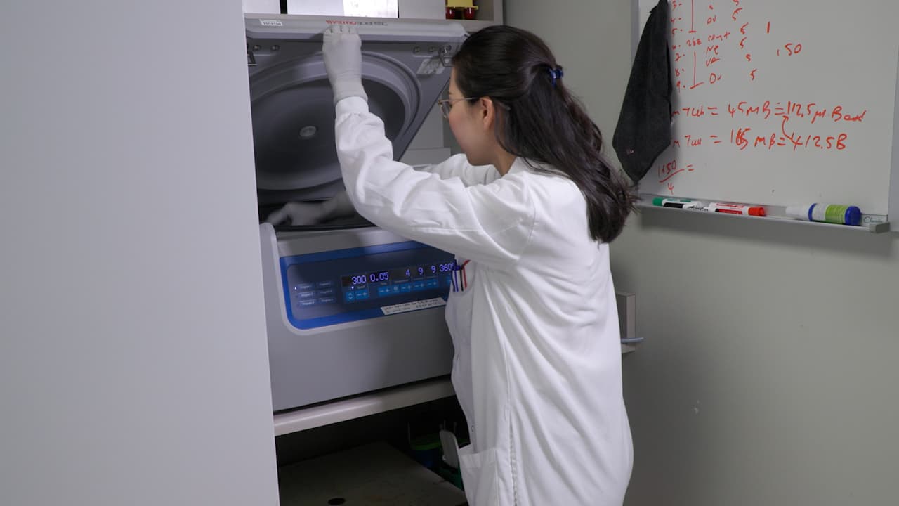 Studying Interactions between Myeloid Cells and CAR T Cells <em>In Vitro</em> and <em>In Vivo</em>