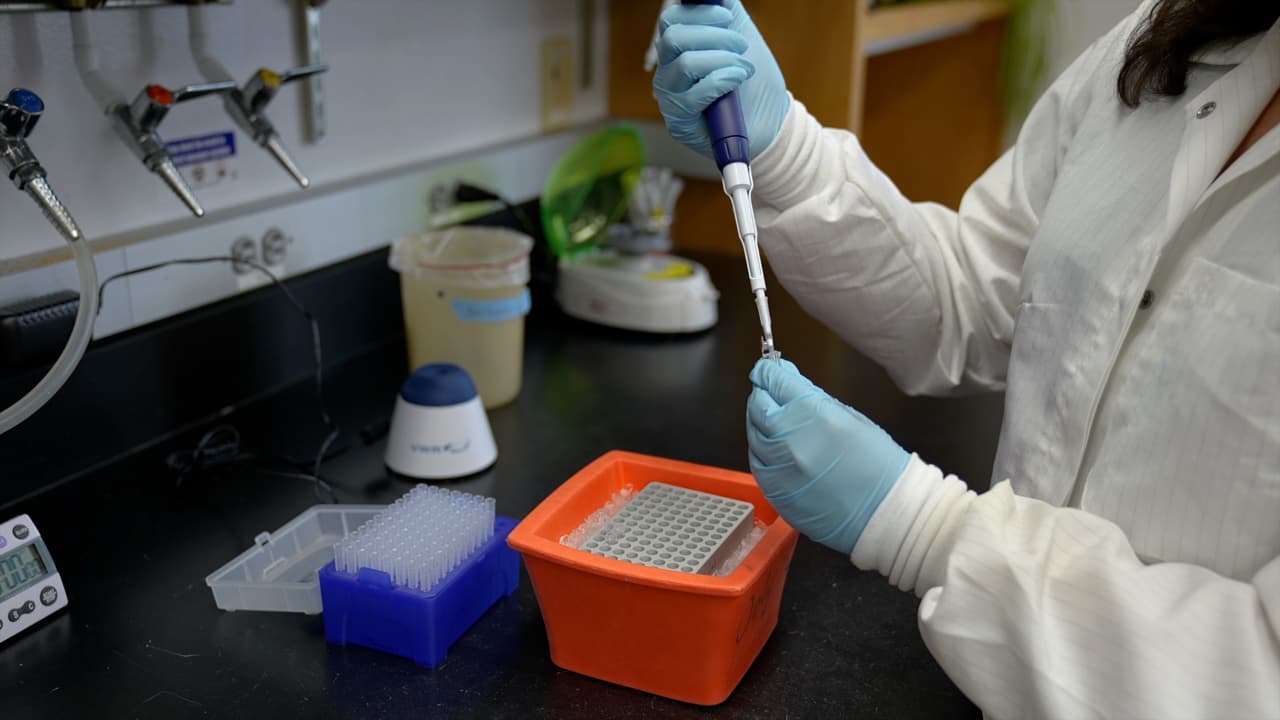 CRISPR Epigenome Editing in Human Cells using Plasmid DNA Transfection and mRNA Nucleofection Delivery
