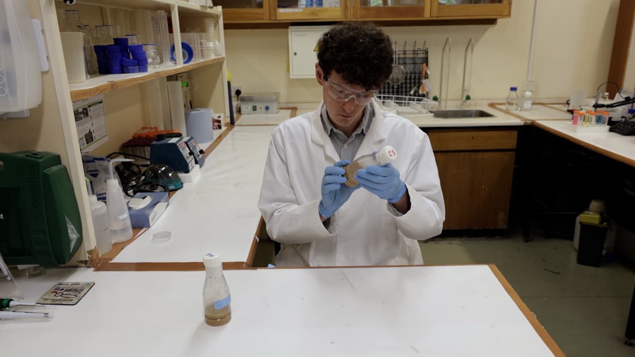 Seizure Activity Induced by Electroshock in <em>Drosophila</em> Larvae