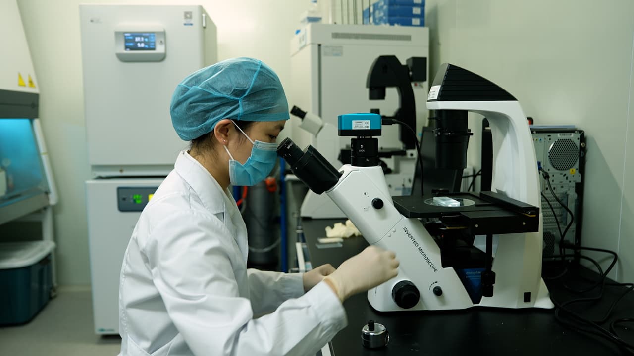 Precision Ultrasound-guided Stem Cell Delivery for Vascular Repair in Aortic Diseases