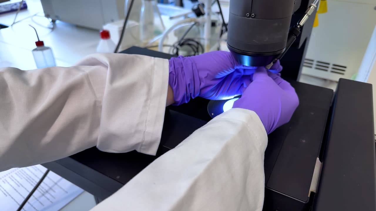 Automating Tumor Implantation in Zebrafish Larvae for Cancer Research and Medicine