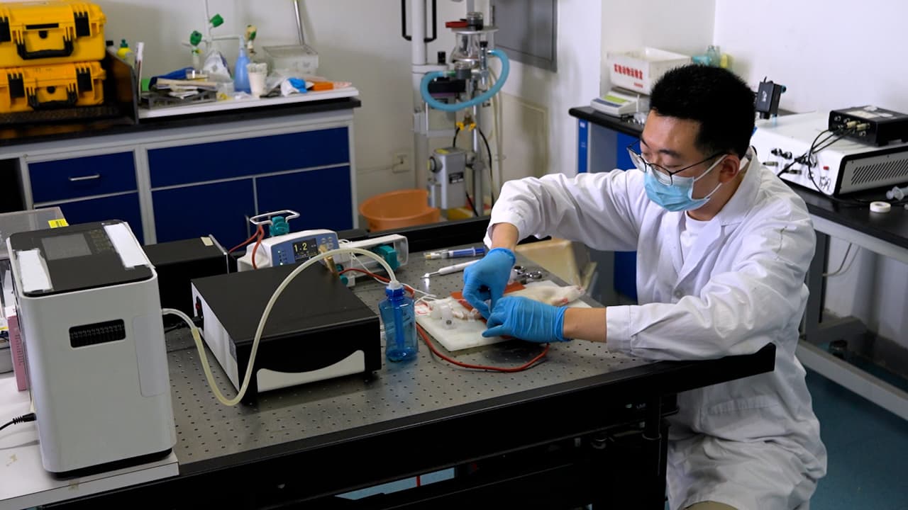 A Structured Approach to Extubation in Mechanically Ventilated Rats