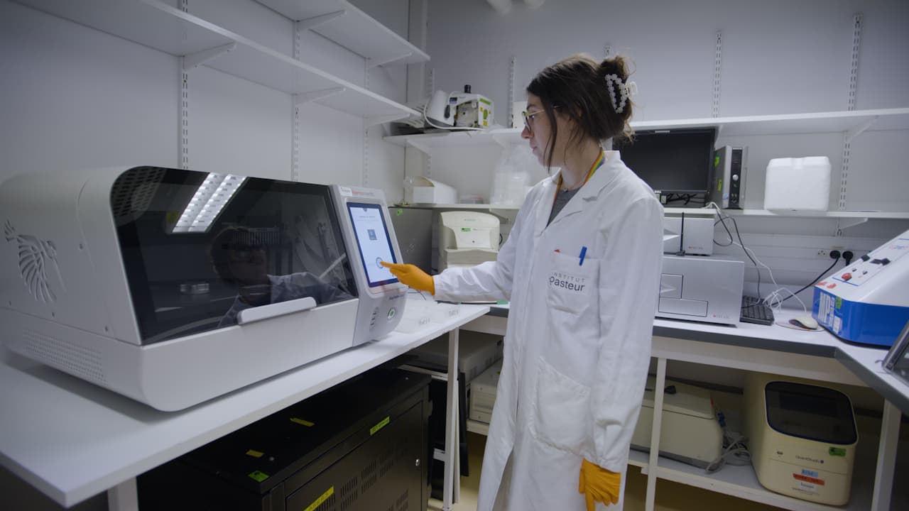 A Multiplex Serological Assay for the Detection of Antibody Responses to Arboviruses