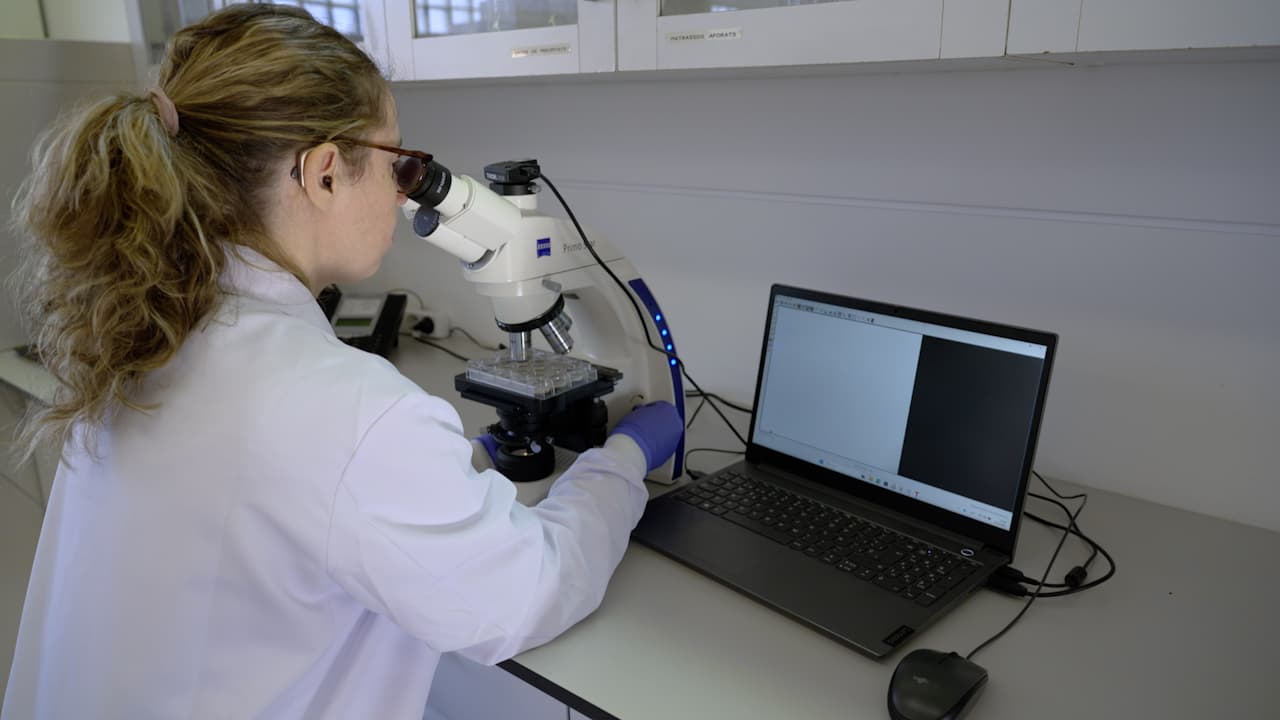 Assessing Gastrointestinal Motility in Caenorhabditis elegans RAC1/CED-10 Mutants as a Tool to Study Early Parkinson's Disease