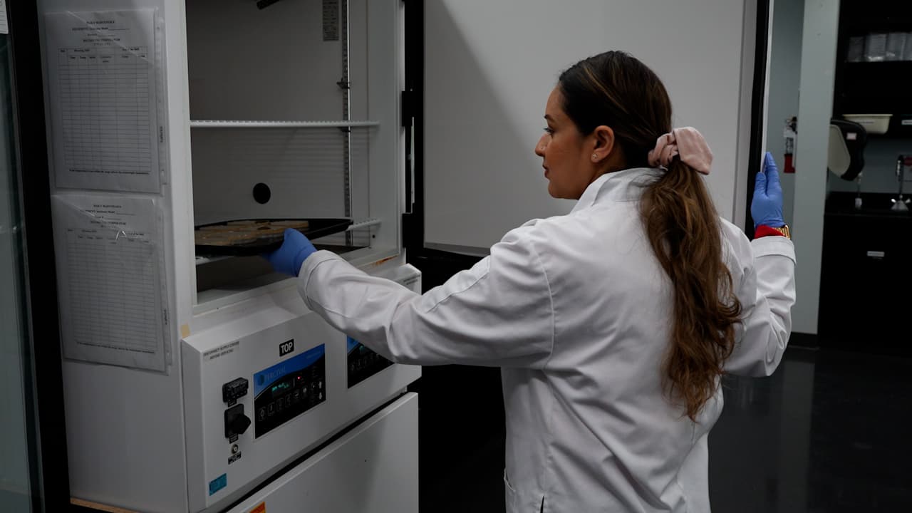 Investigation of a Blue Light LED Device to Suppress Wound Pathogens Using a Collagen-Based Synthetic Skin Model