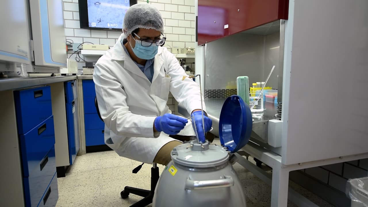 A Simple Microaspiration Technique for Isolating Somatic Cells from Cryopreserved Equine Semen as Nuclear Donors for Cloning