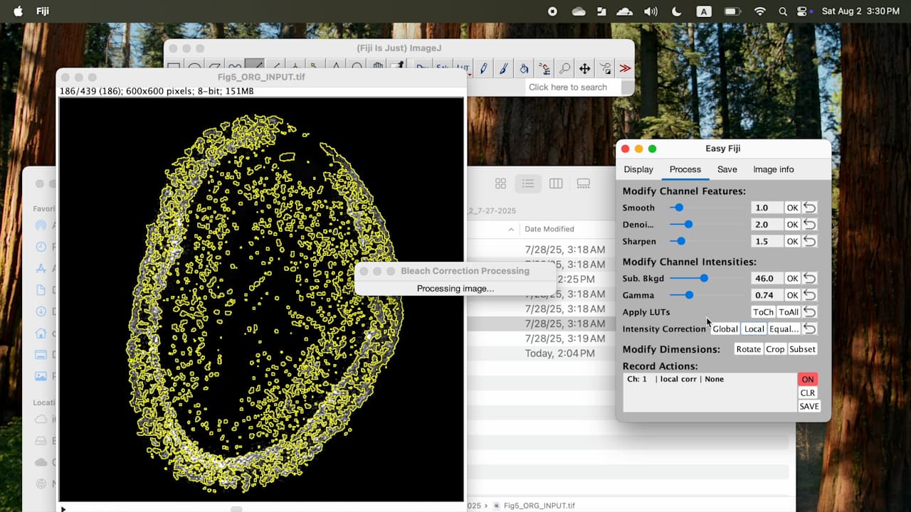 EasyFiji: A Graphical Interface for User-Friendly Fluorescence Image Processing in Fiji