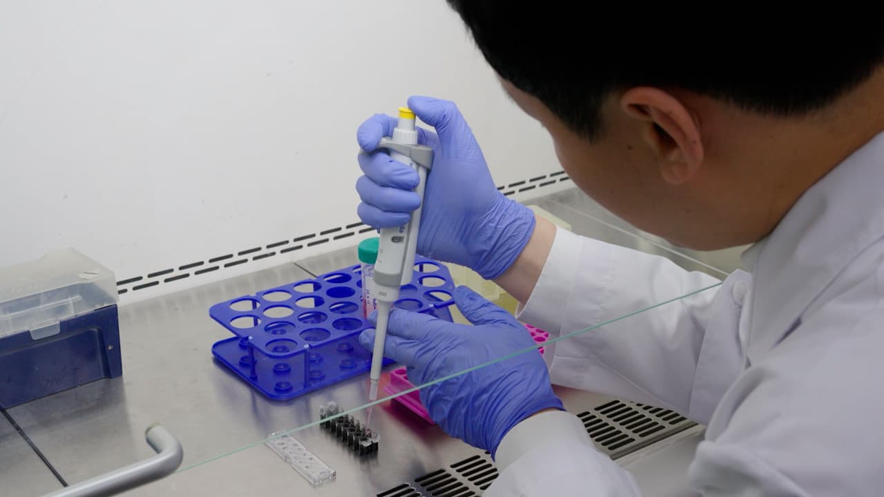 Generation and Genetic Manipulation of Human Cervical Organoids