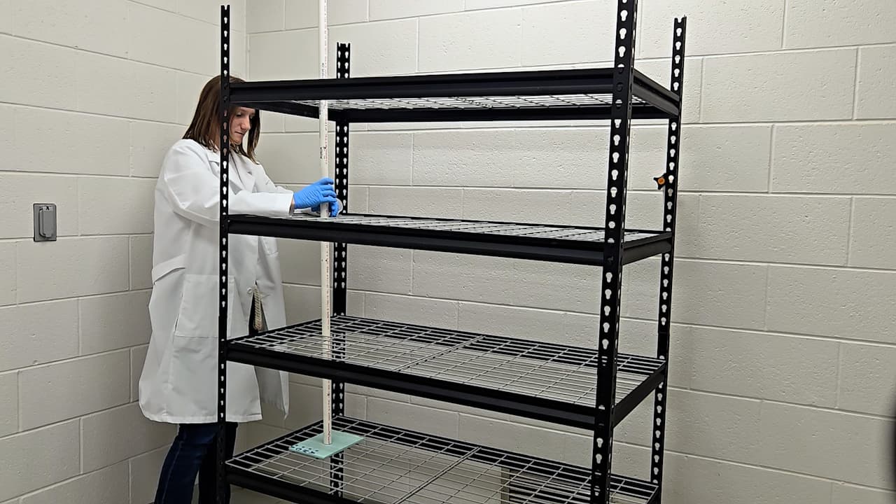 A Custom-Built Recirculating Zebrafish Housing System