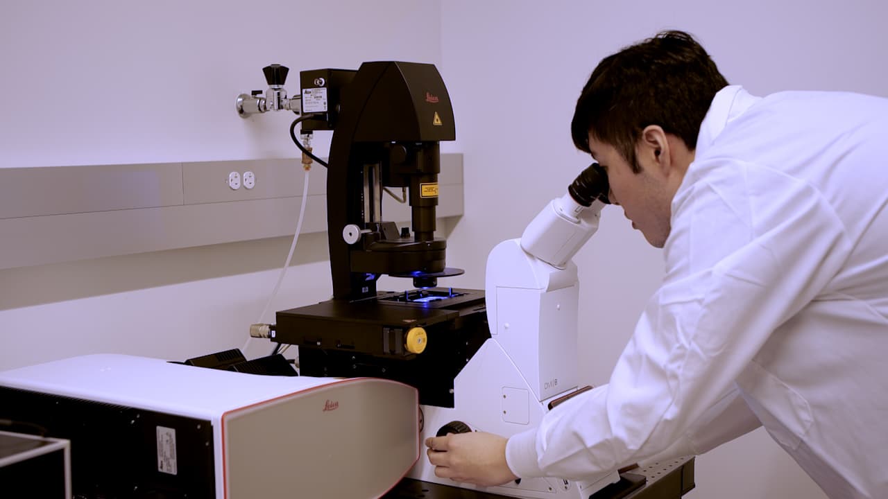 Immunostaining and Dye Penetration Experiments to Define Core Pleated Septate Junction Proteins in Drosophila Embryonic Epithelia