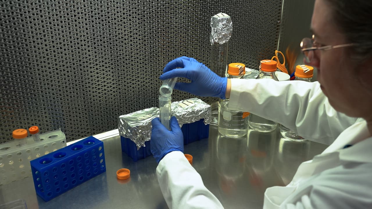 Building and Operating a Low-Cost Elevated Carbon Dioxide Growth Chamber to Evaluate Microgreen Physiology under Spaceflight-Relevant CO2 Levels