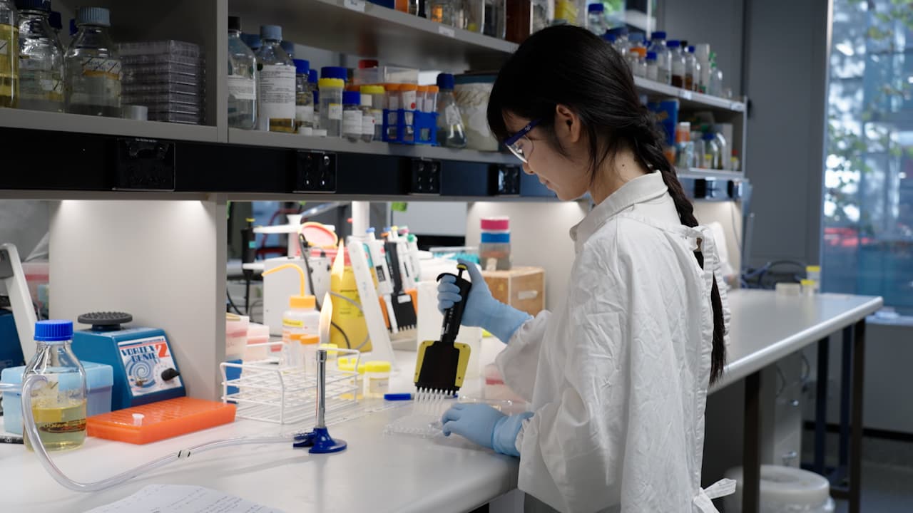 Production and Testing of Antimicrobial Peptides and Their Mimics