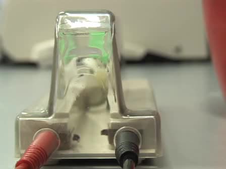 Electroporation of Mycobacteria