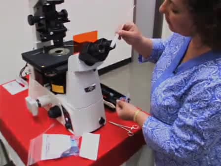 Proper Care and Cleaning of the Microscope