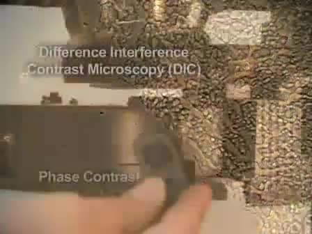 Phase Contrast and Differential Interference Contrast (DIC) Microscopy