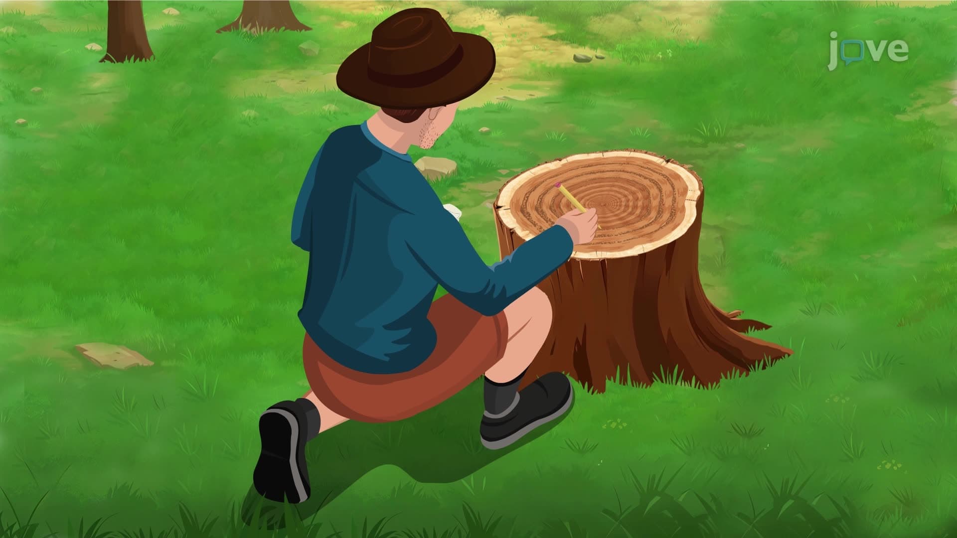 Tree Rings, Ice Cores, and Varves