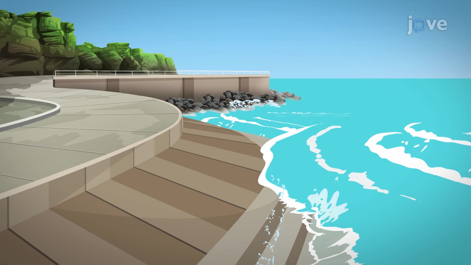 Protecting Shorelines