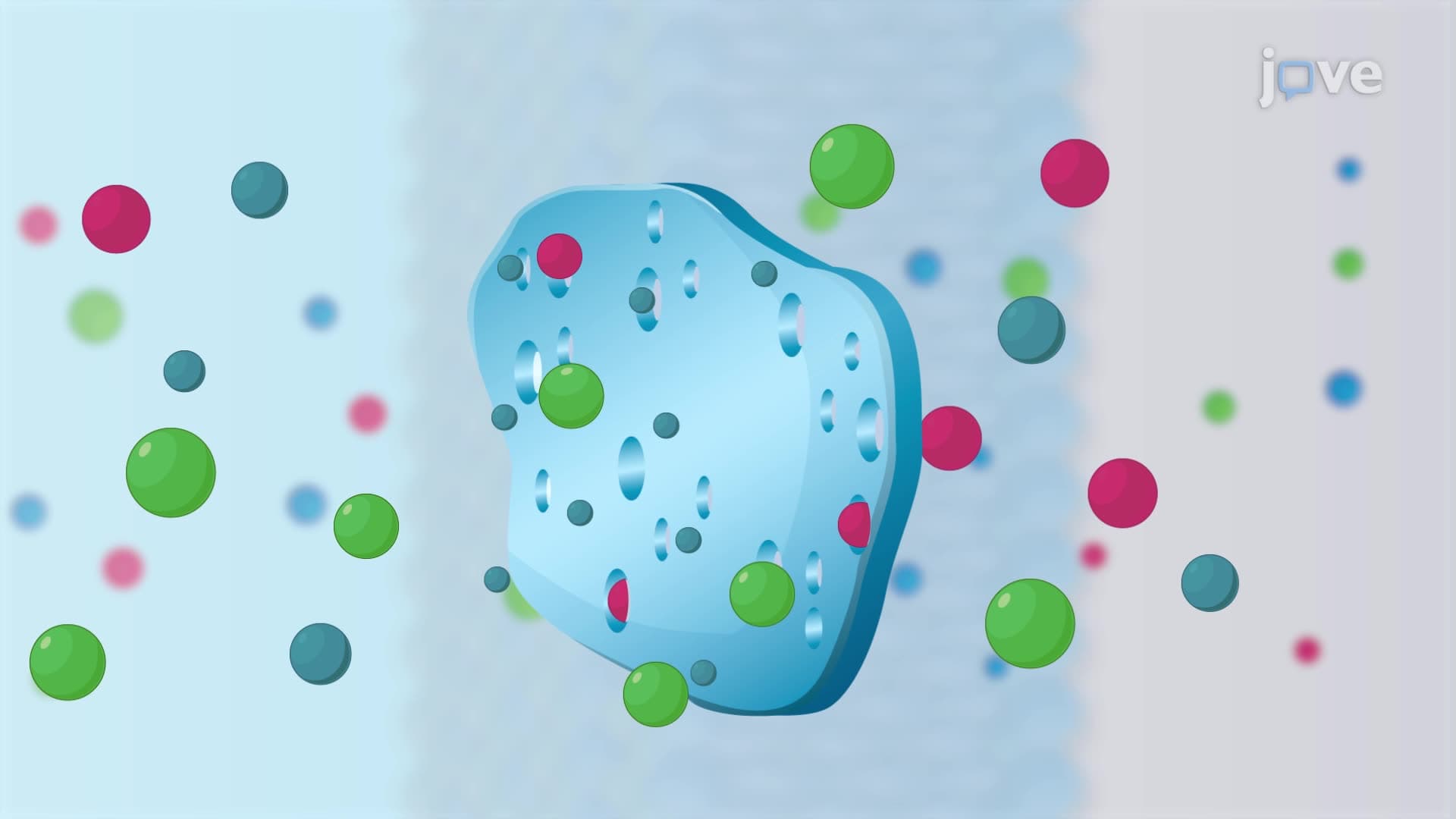 Cell Membrane