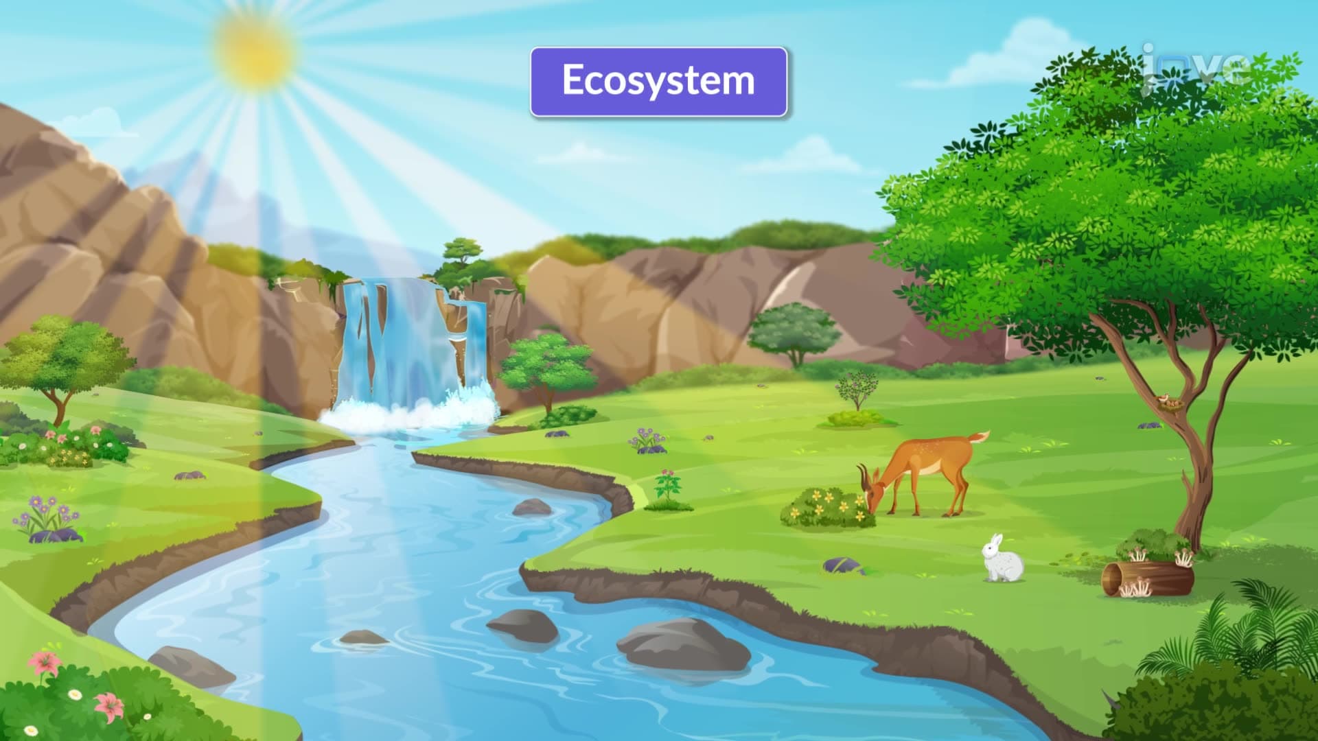 Abiotic and Biotic Factors