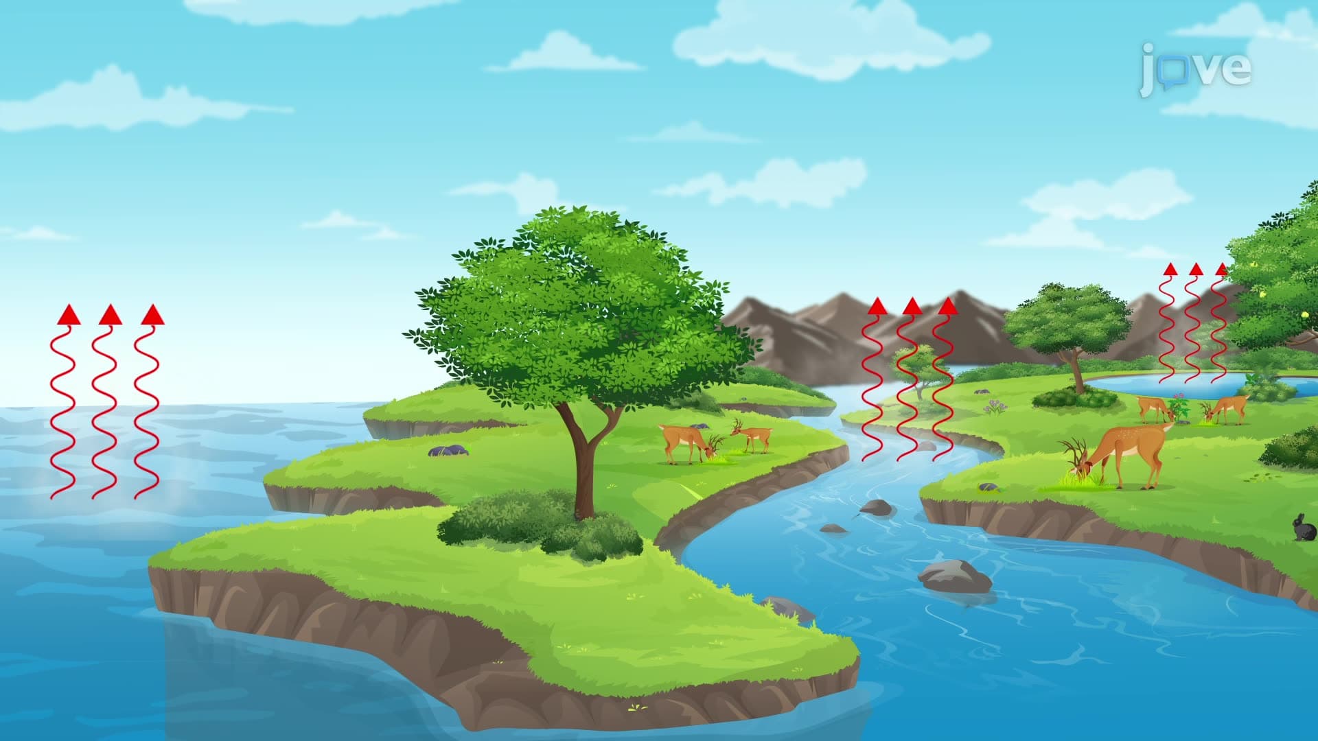 Water Cycle