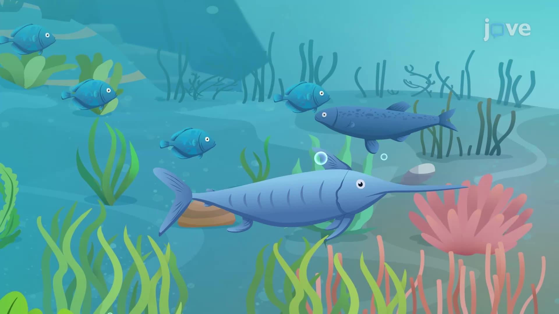 Biome