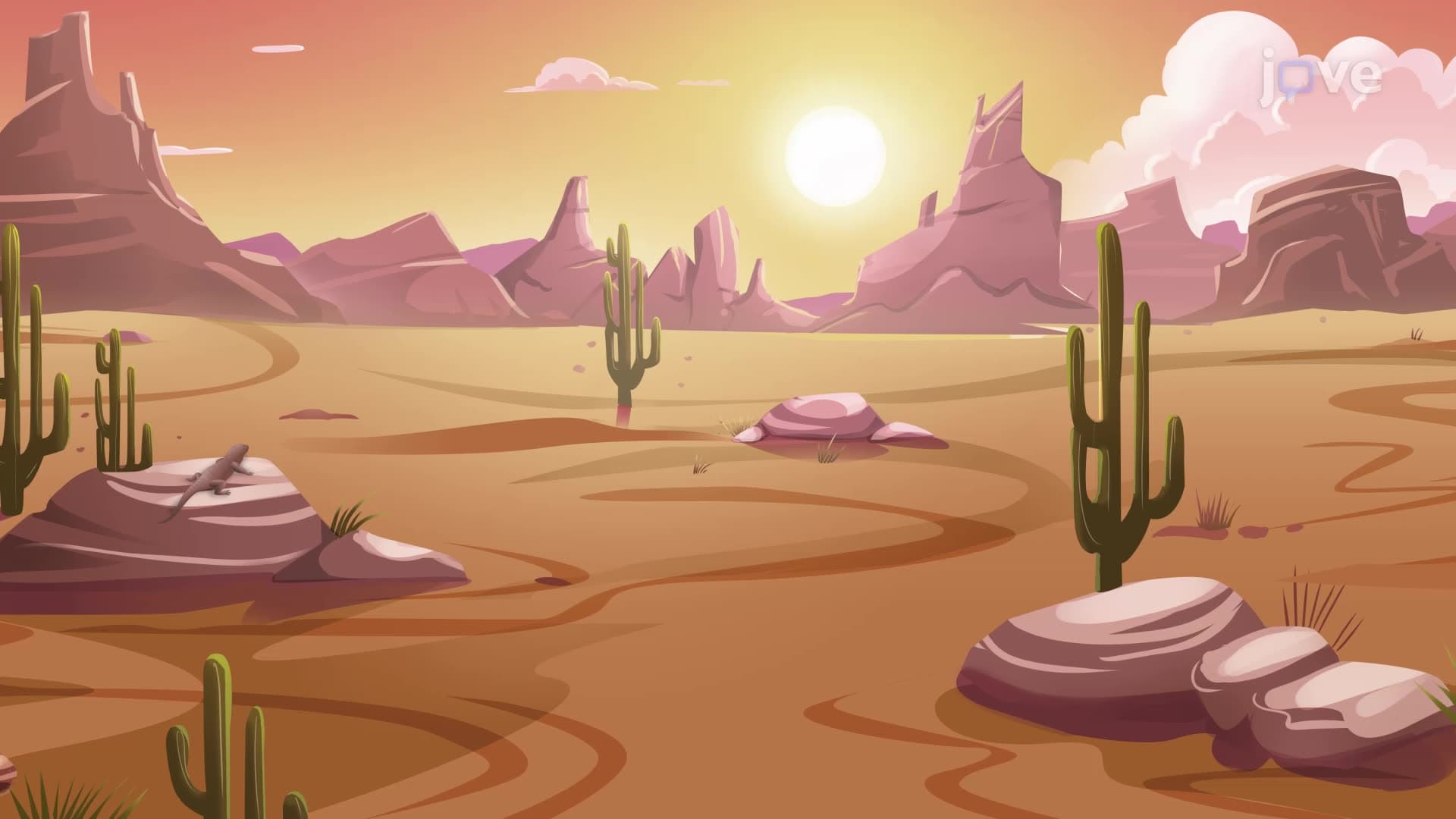 Terrestrial Biomes