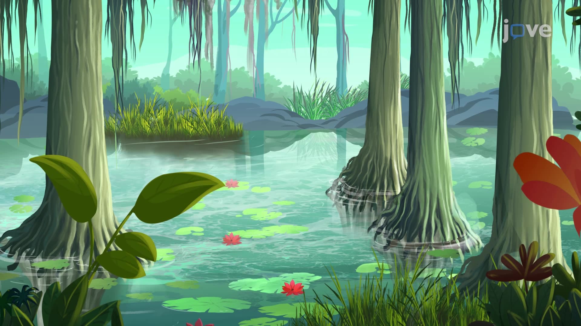 Aquatic Biomes