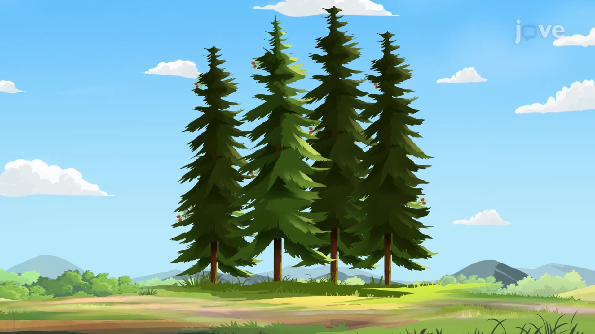 Plant Classification