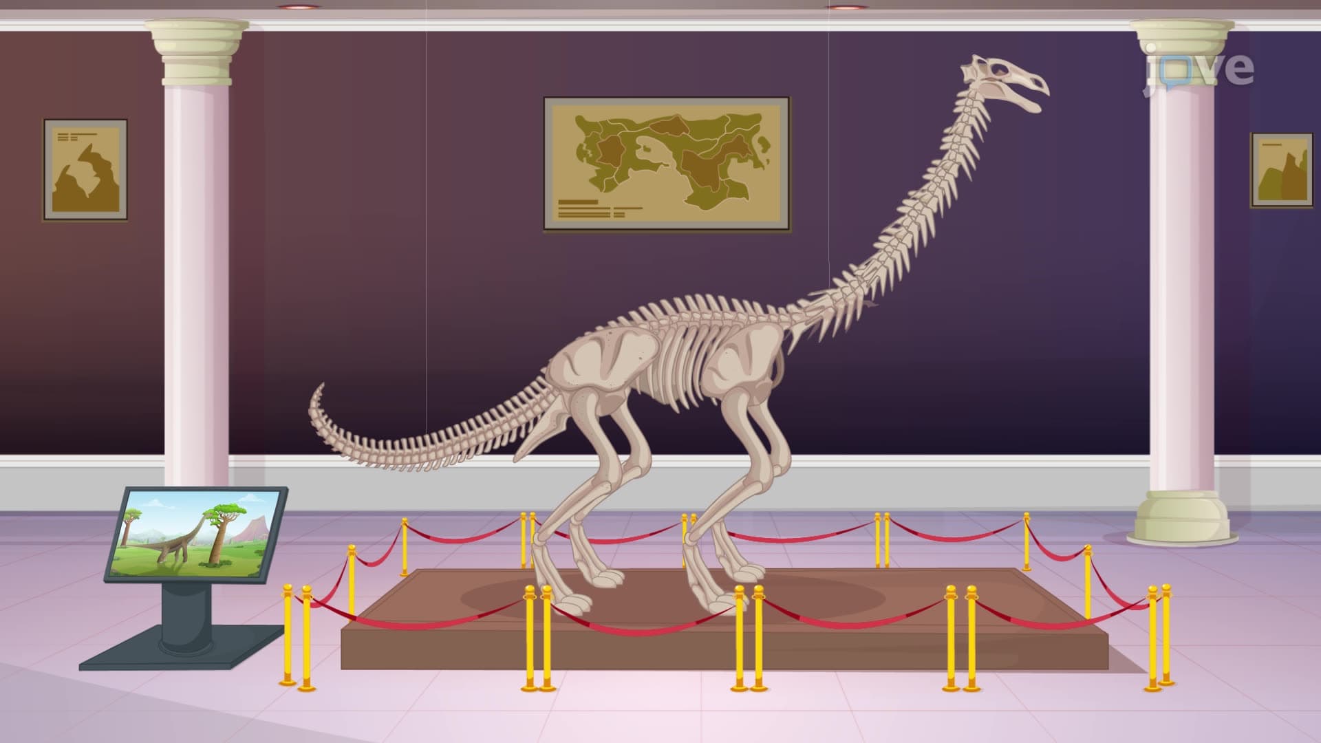 Fossils