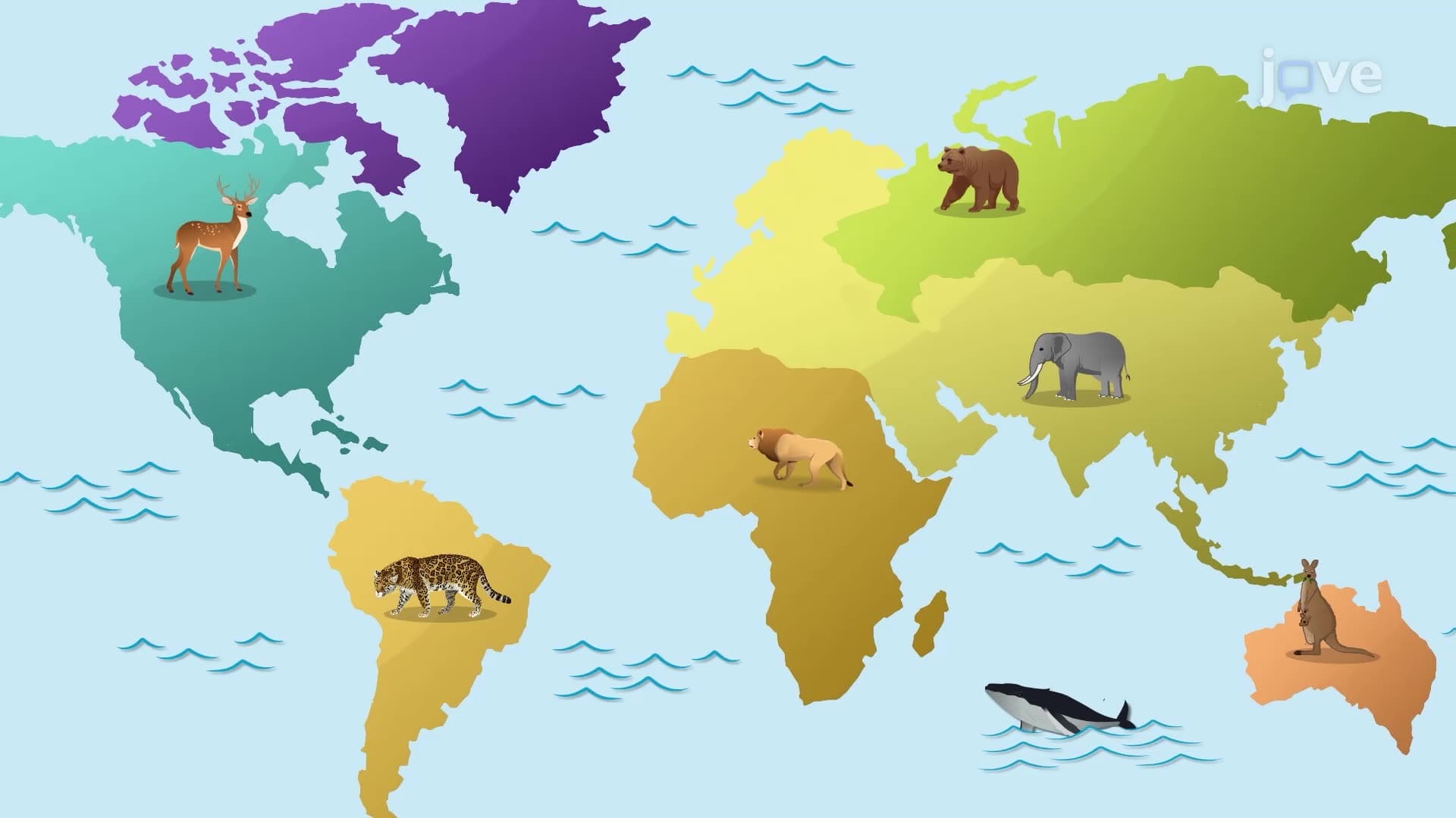 Importance of Mammals