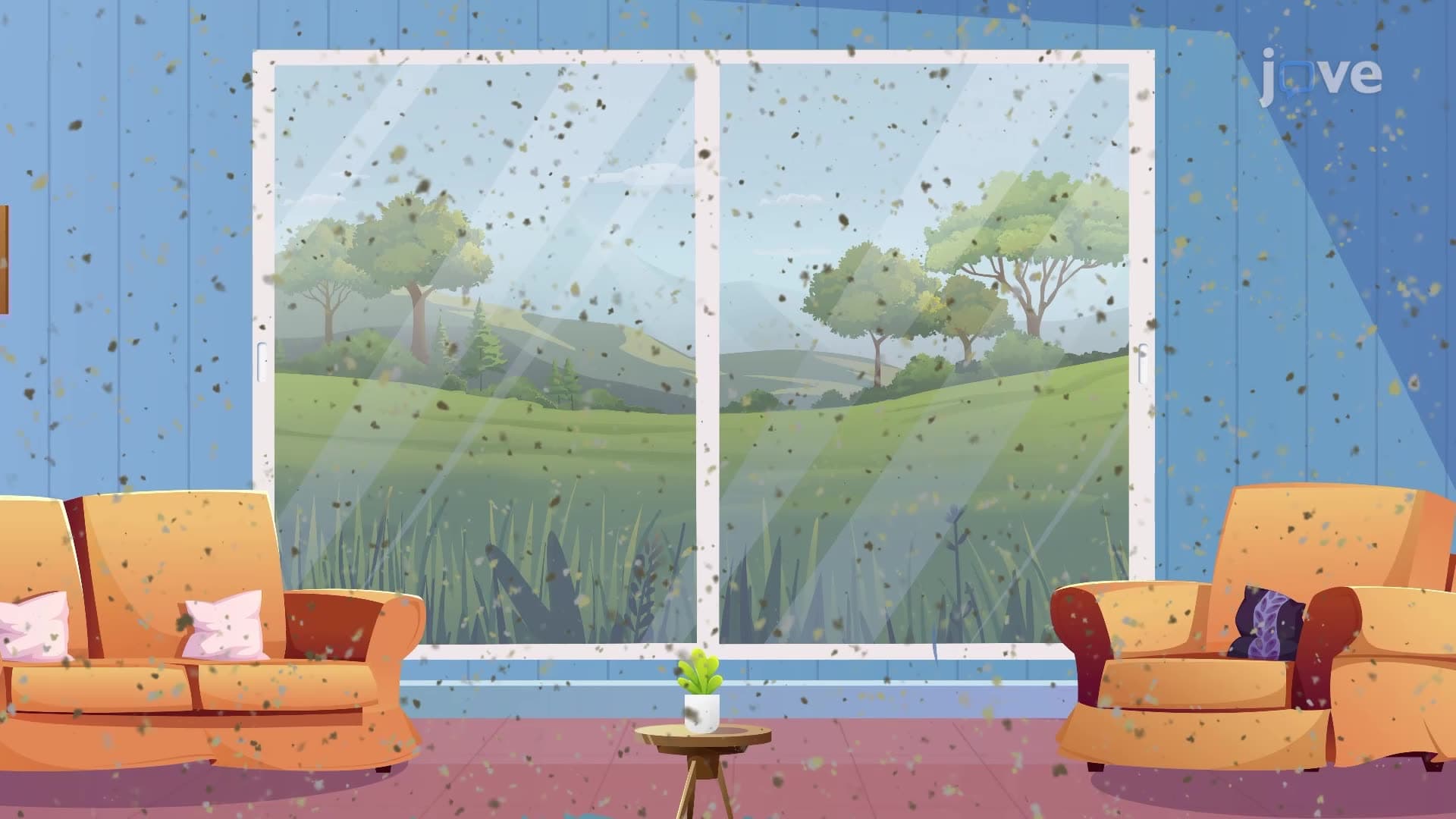 Indoor Air Pollution