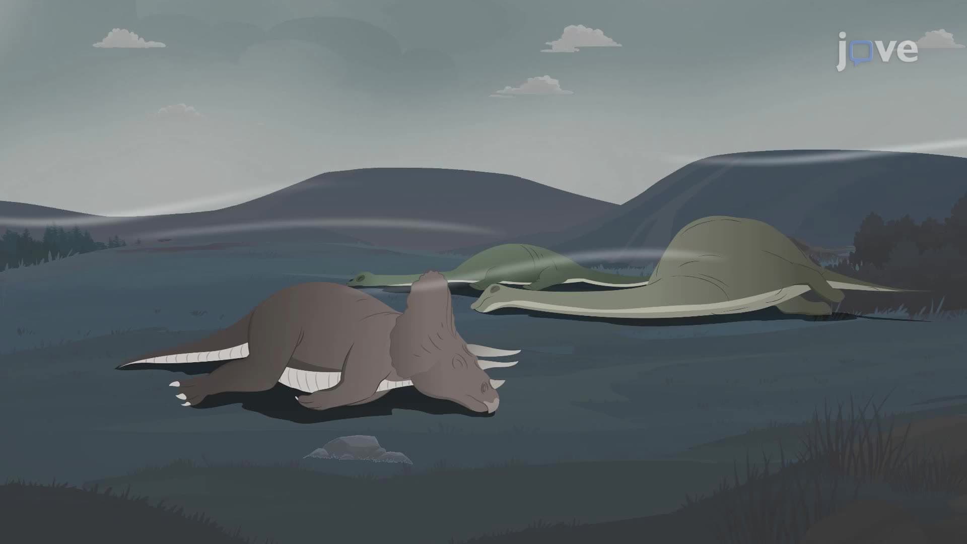 Mass Extinction