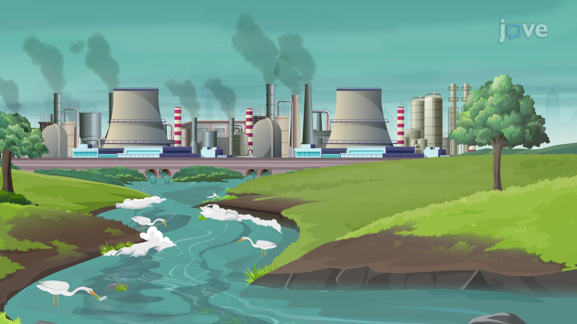 Habitat Destruction I