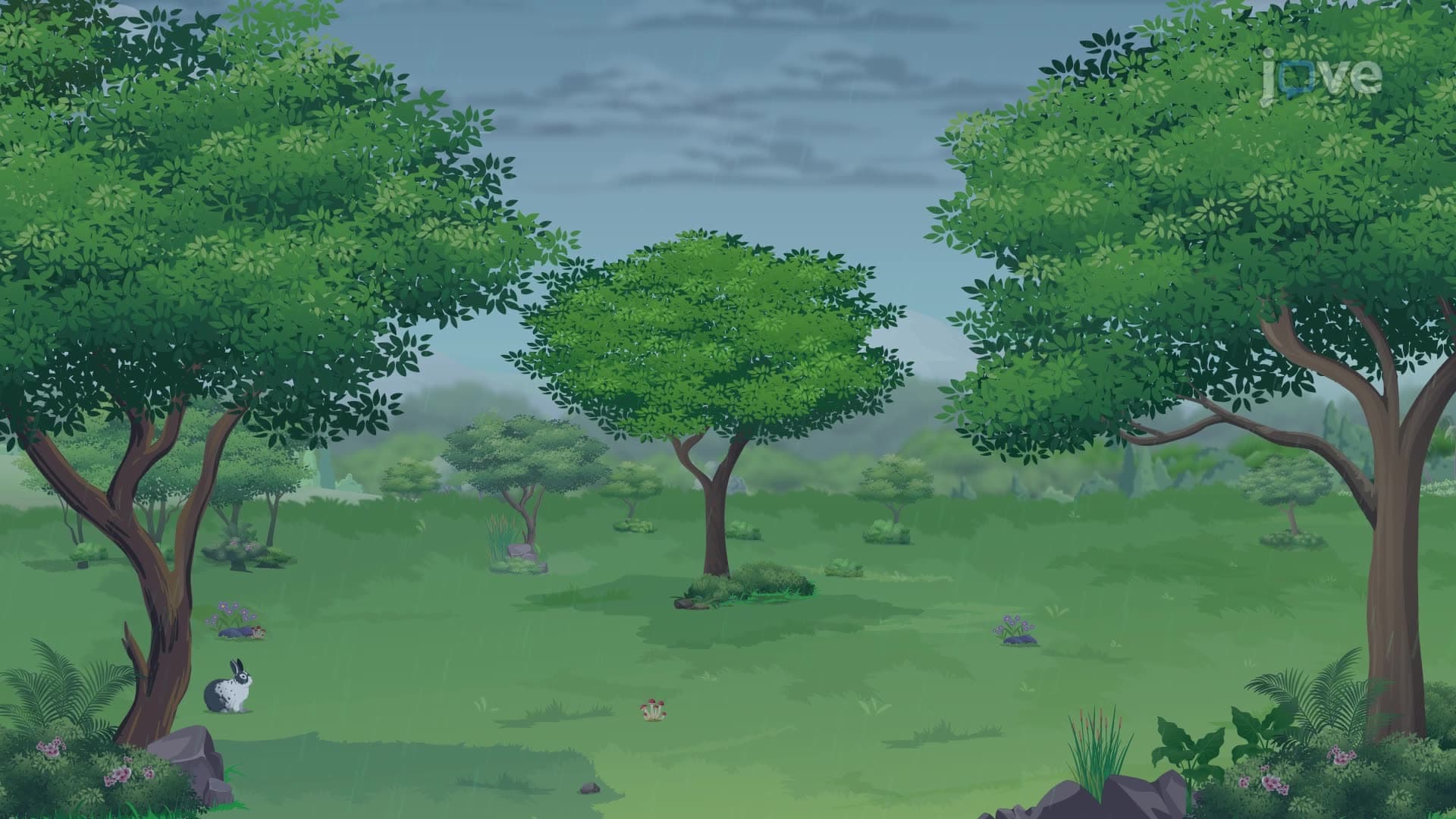 Secondary Succession