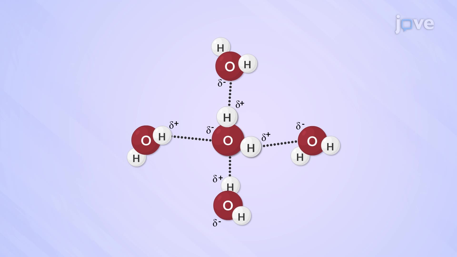 Hydrogen Bond