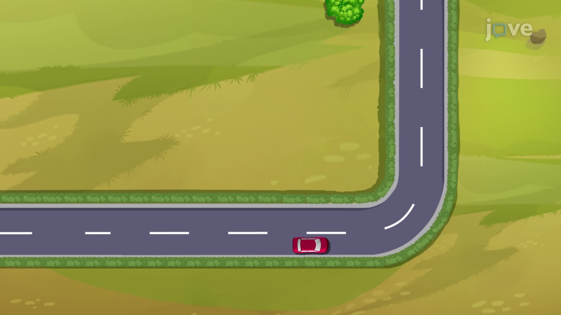 Velocity
