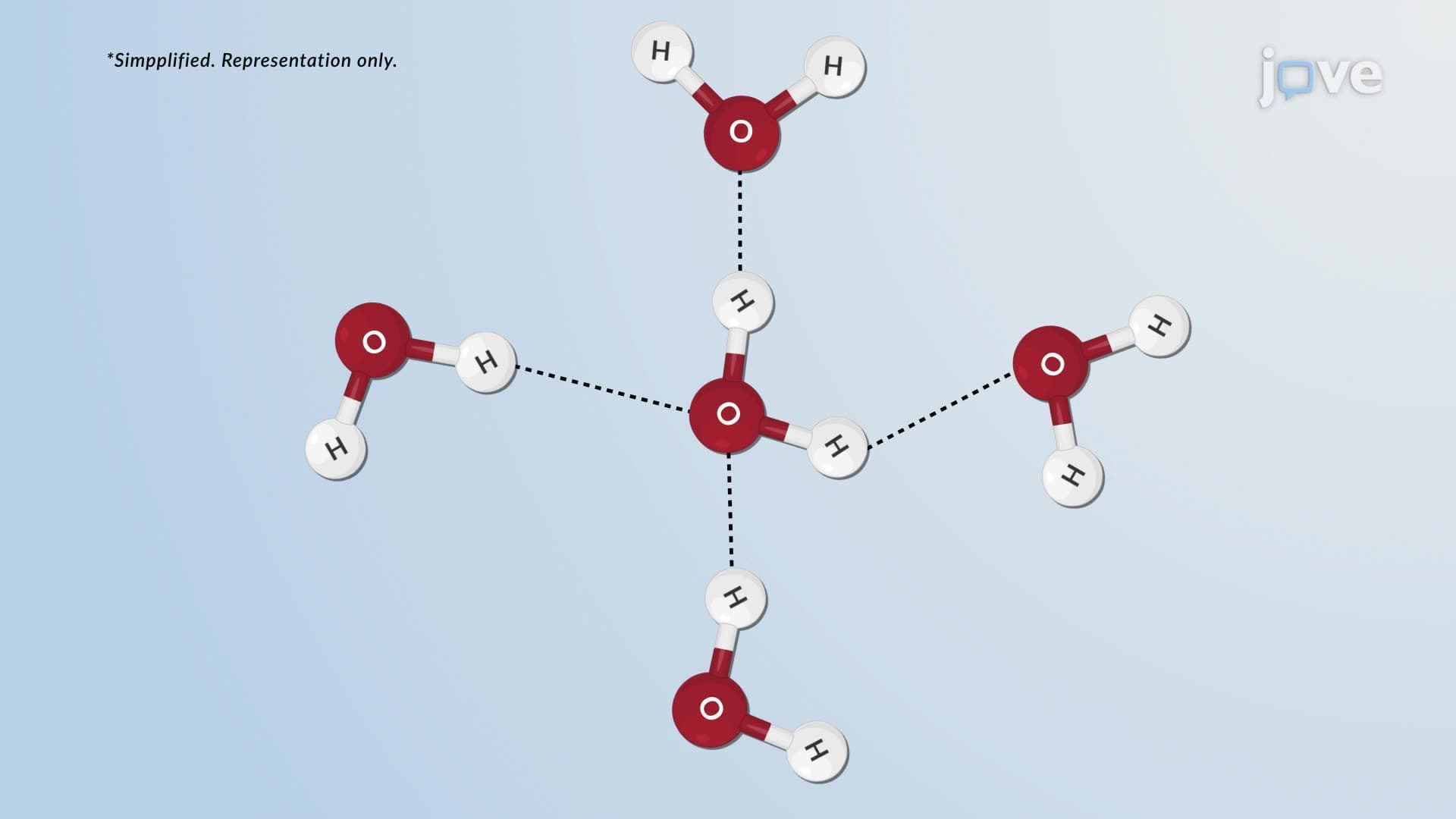 Hydrogen Bonds