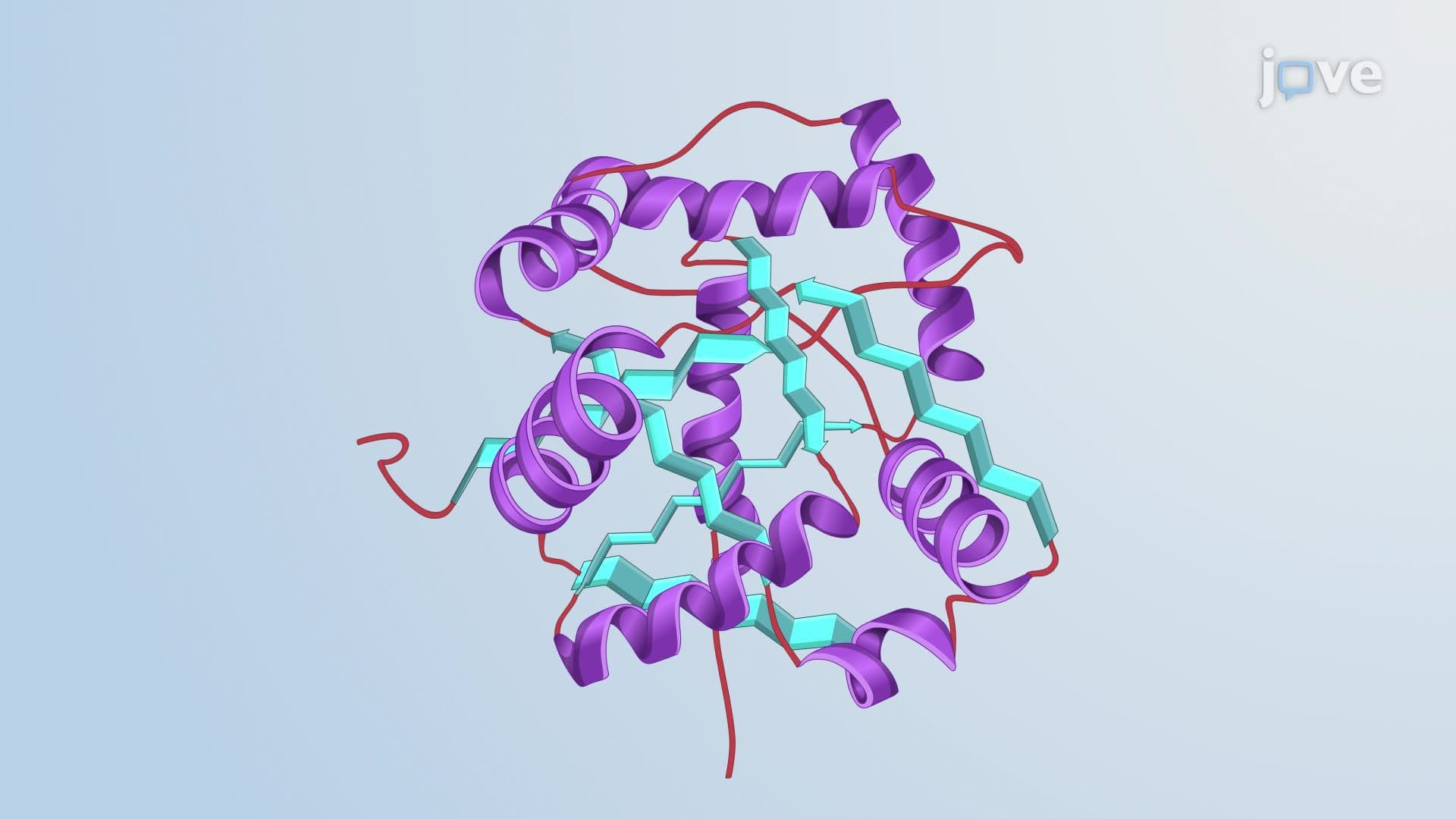 Protein Folding