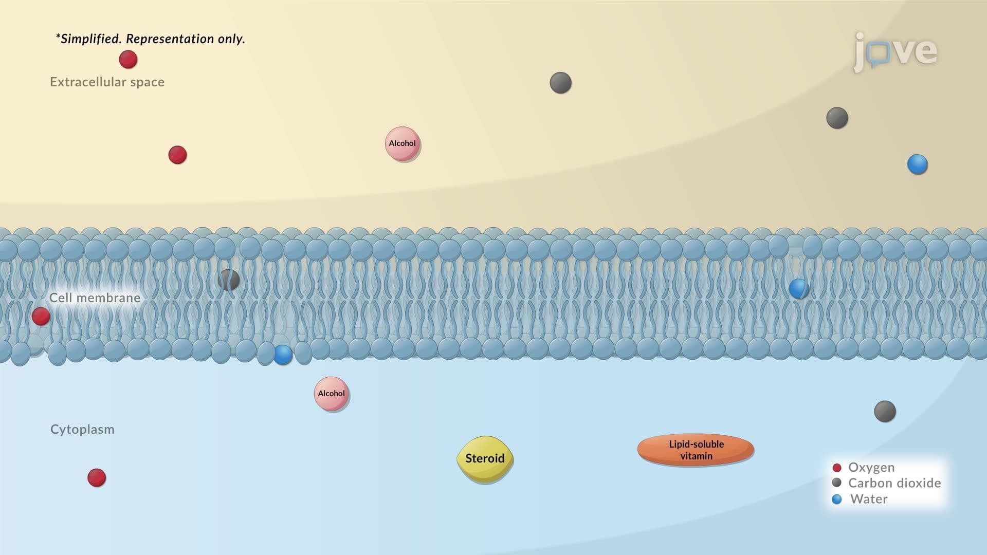Diffusion