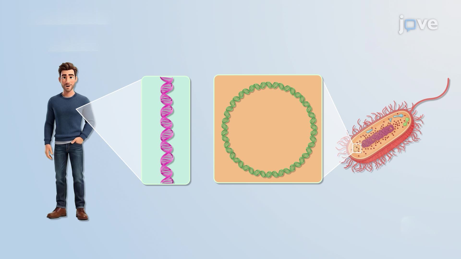 Recombinant DNA Technology